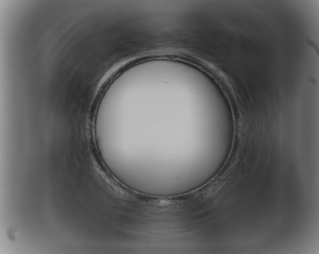 X0000100371412200806060751
