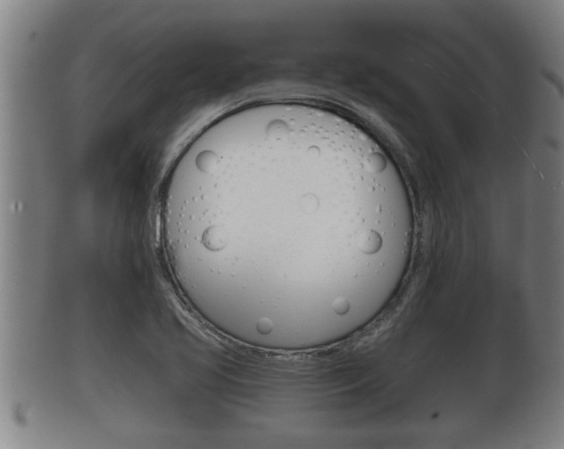X0000100371413200806060751