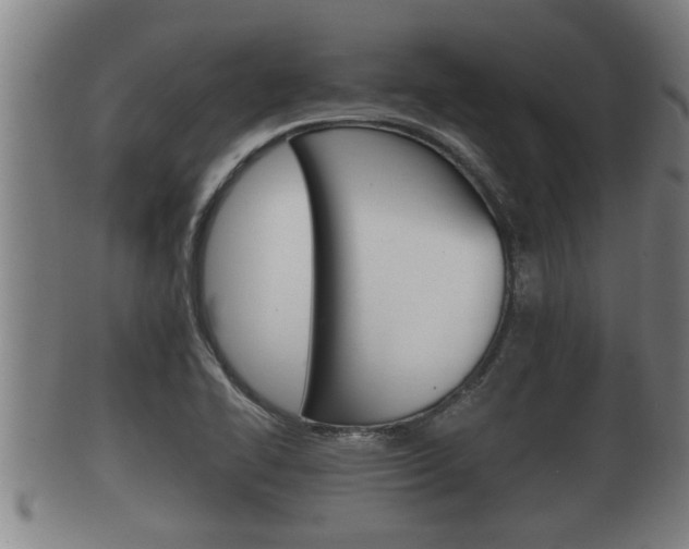 X0000100371414200806060751