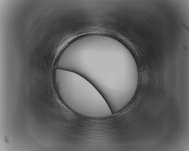 X0000100371415200806060751