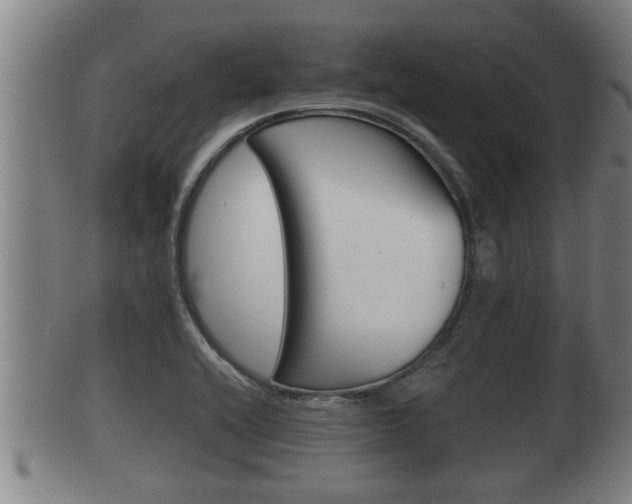 X0000100371416200806060751