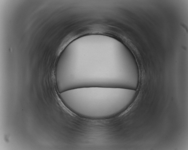 X0000100371417200806060751
