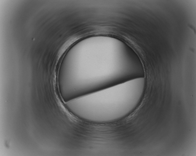 X0000100371418200806060751
