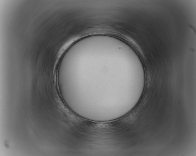 X0000100371419200806060751