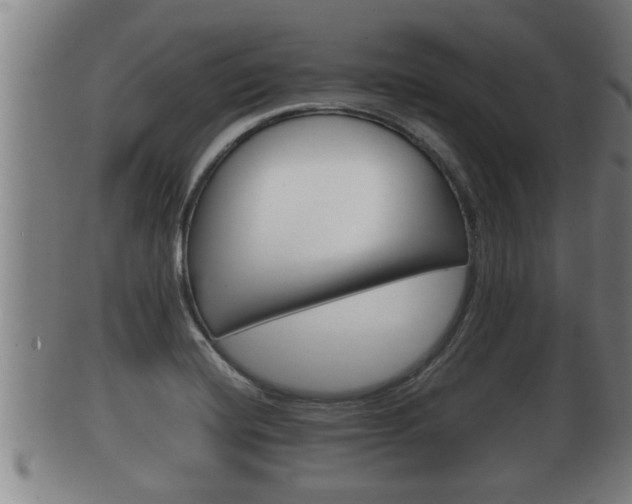 X0000100371420200806060751