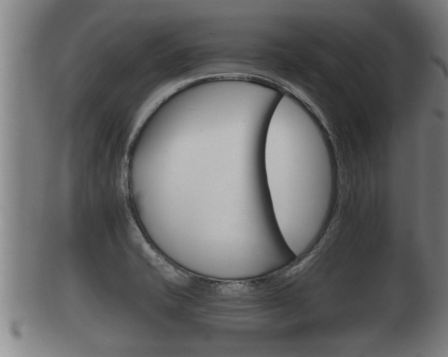 X0000100371421200806060751