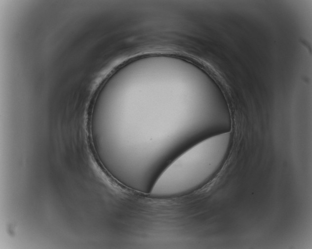 X0000100371422200806060751