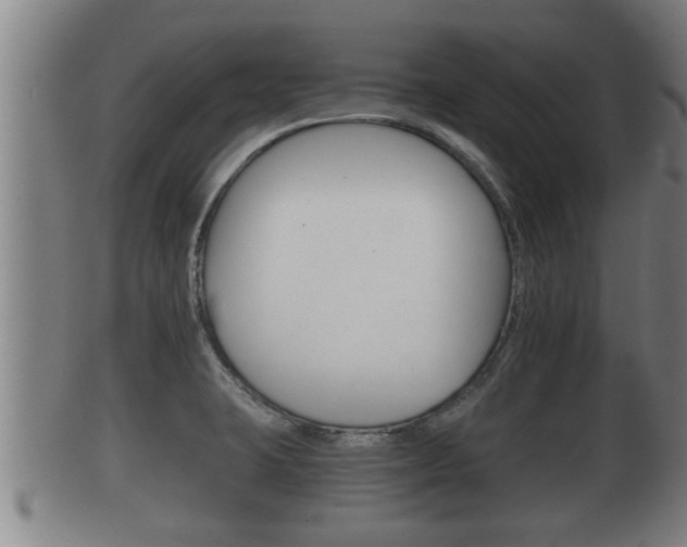 X0000100371423200806060751