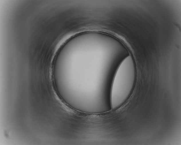 X0000100371424200806060751