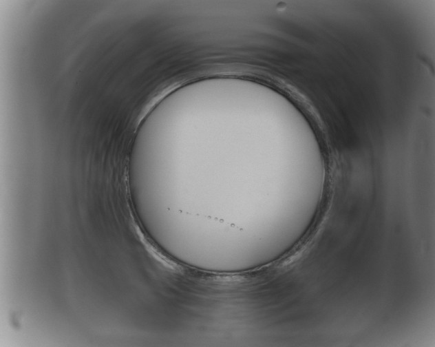 X0000100371425200806060751