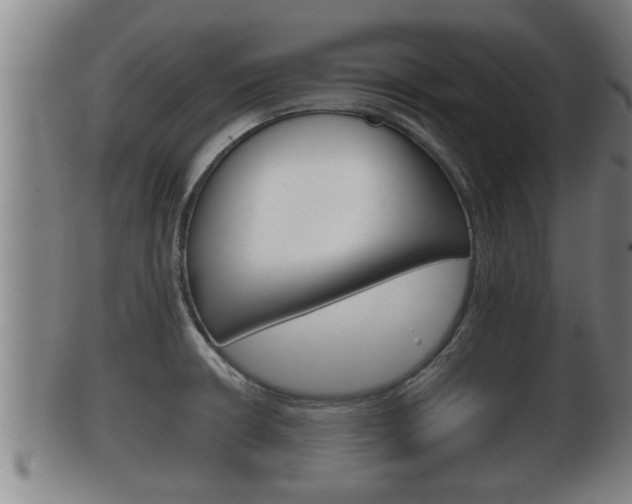 X0000100371426200806060751