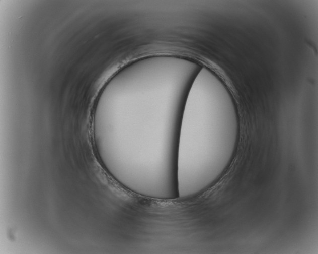 X0000100371427200806060751