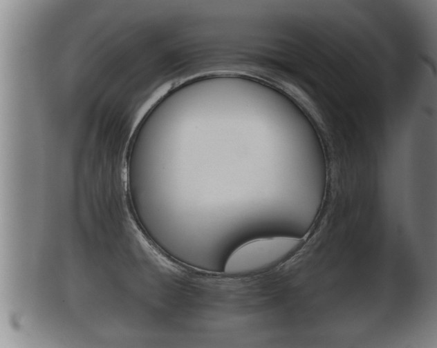 X0000100371428200806060751