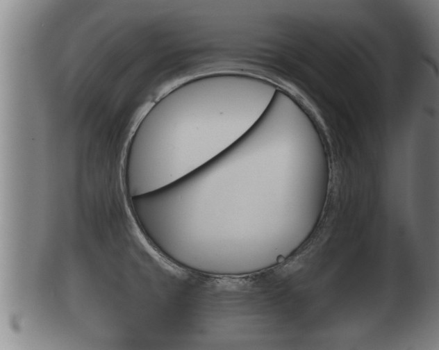 X0000100371429200806060751