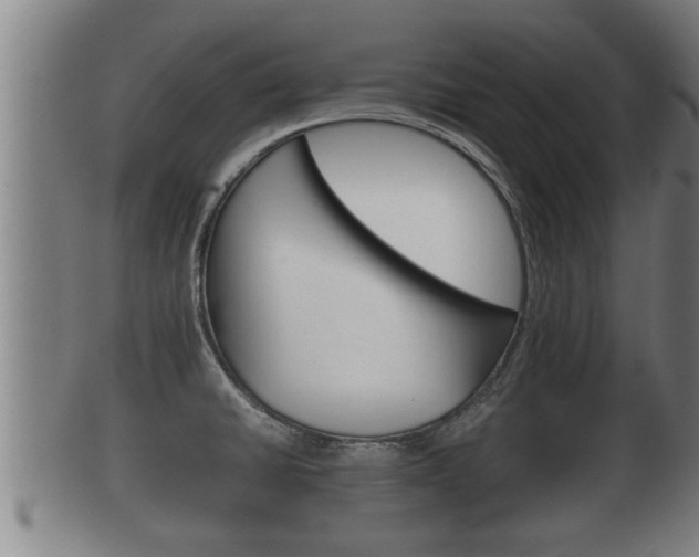 X0000100371430200806060751