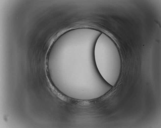 X0000100371431200806060751