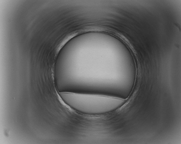 X0000100371433200806060751