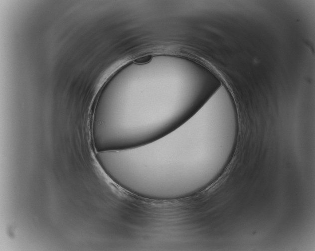 X0000100371434200806060751