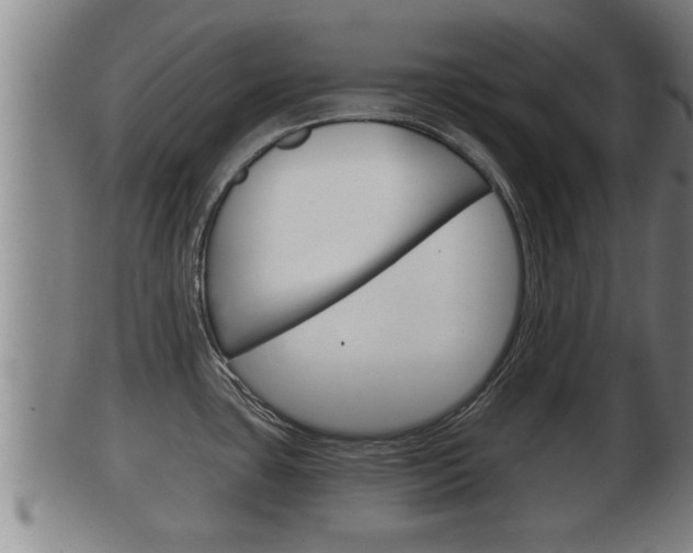 X0000100371435200806060751