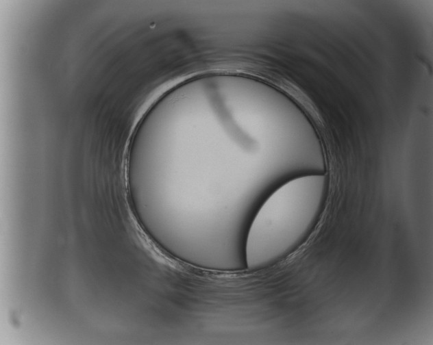 X0000100371436200806060751