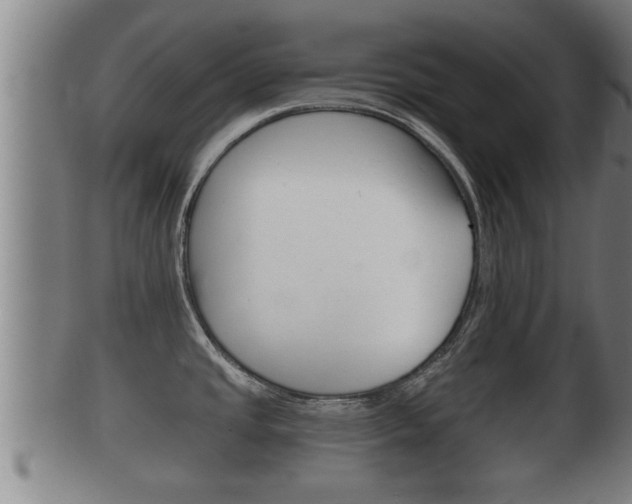 X0000100371437200806060751