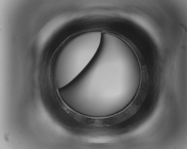 X0000100371438200806060751
