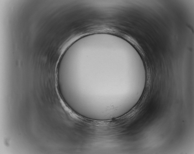 X0000100371439200806060751