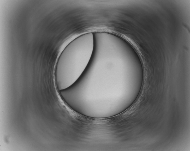 X0000100371440200806060751