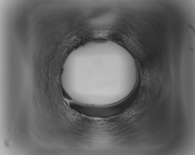 X0000100371441200806060750