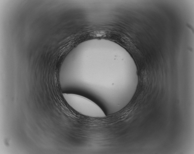 X0000100371442200806060750