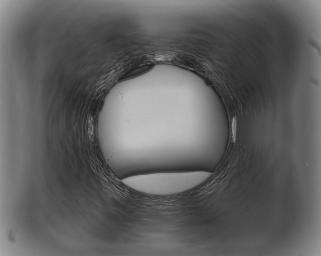 X0000100371443200806060750
