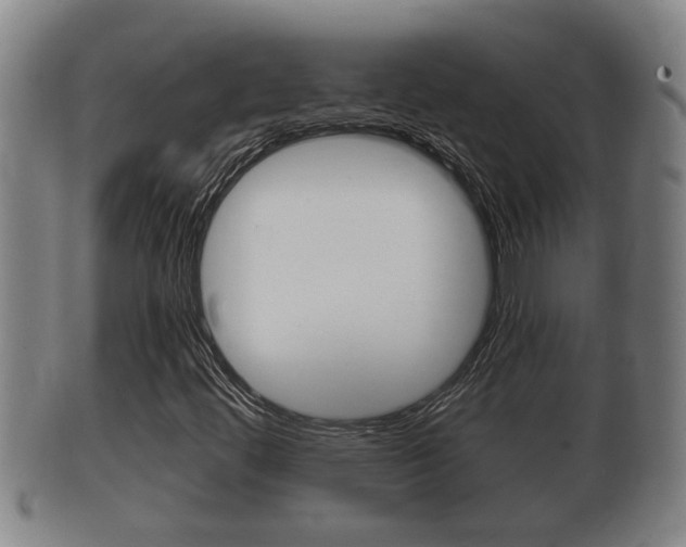 X0000100371444200806060750