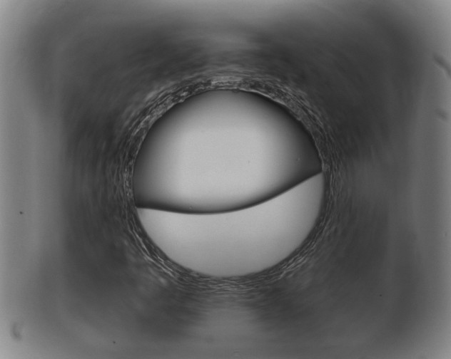 X0000100371445200806060750