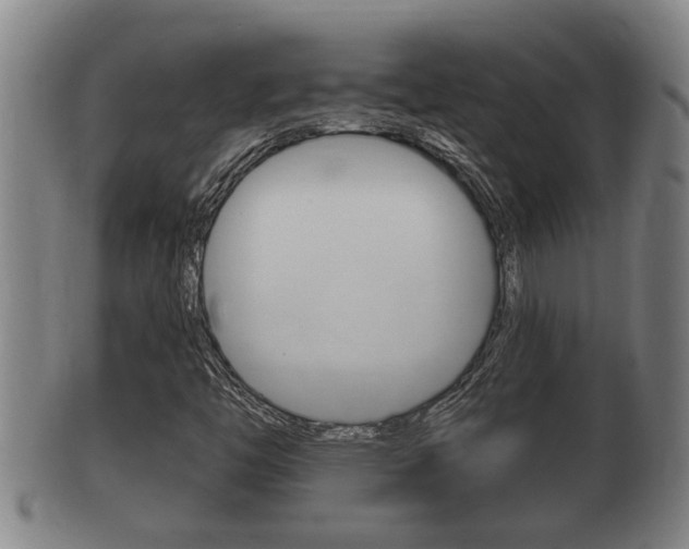 X0000100371446200806060750