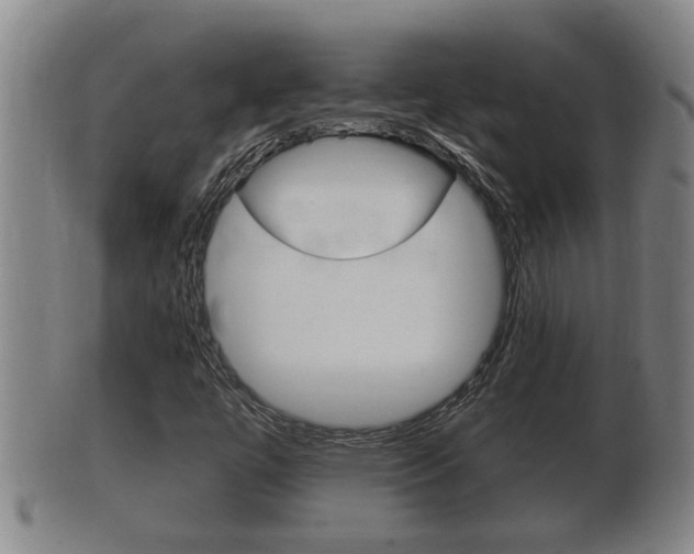 X0000100371447200806060750