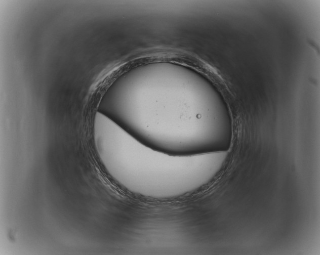 X0000100371448200806060750