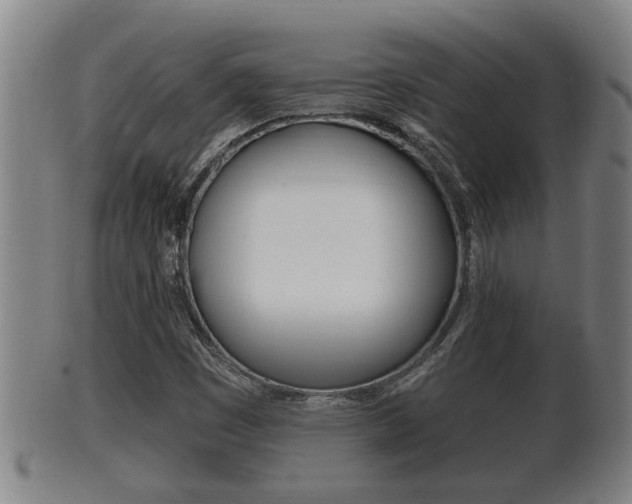 X0000100371449200806060750