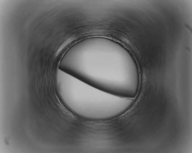 X0000100371450200806060750