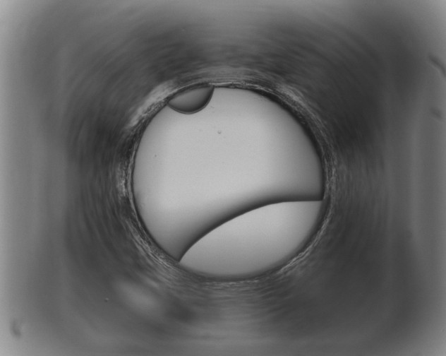 X0000100371451200806060750