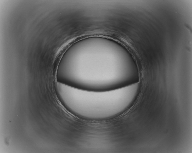 X0000100371452200806060750