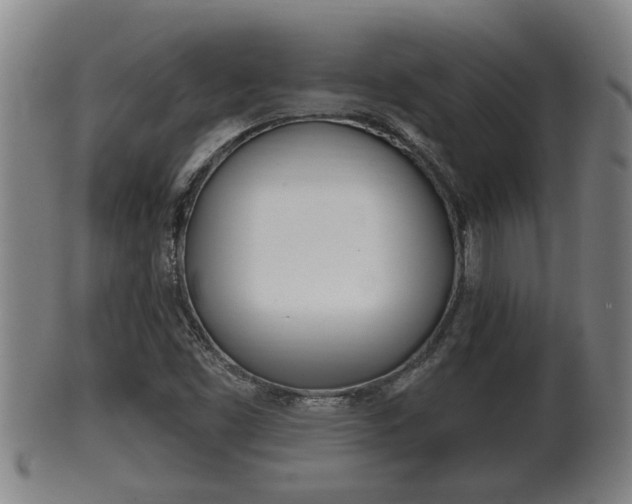 X0000100371453200806060750