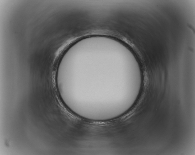 X0000100371454200806060750