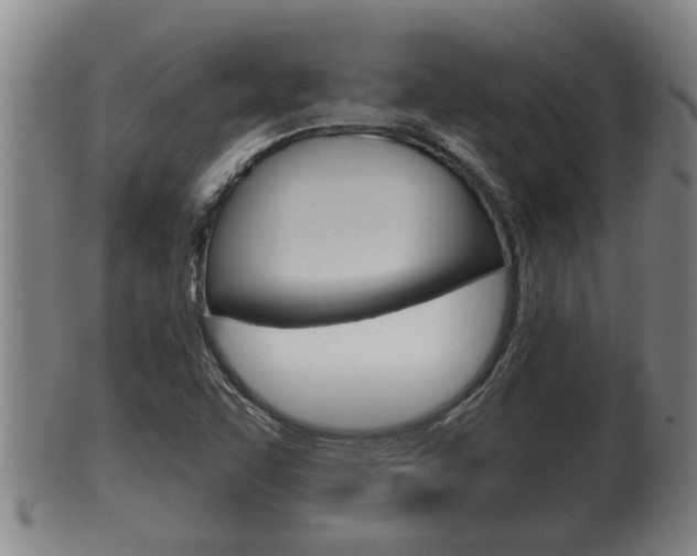 X0000100371455200806060750