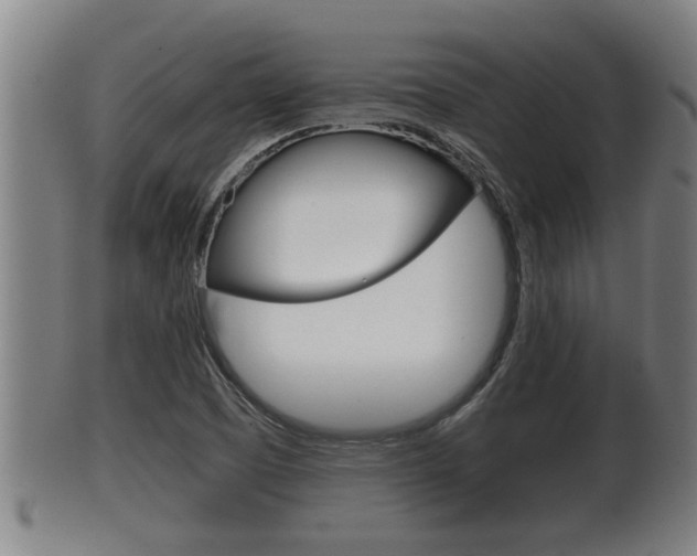 X0000100371457200806060750