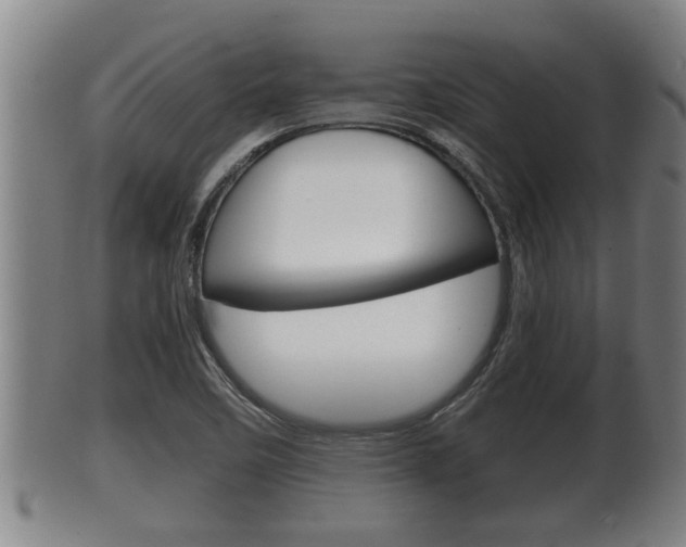 X0000100371458200806060750
