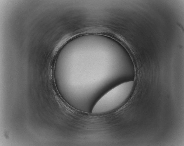 X0000100371459200806060750
