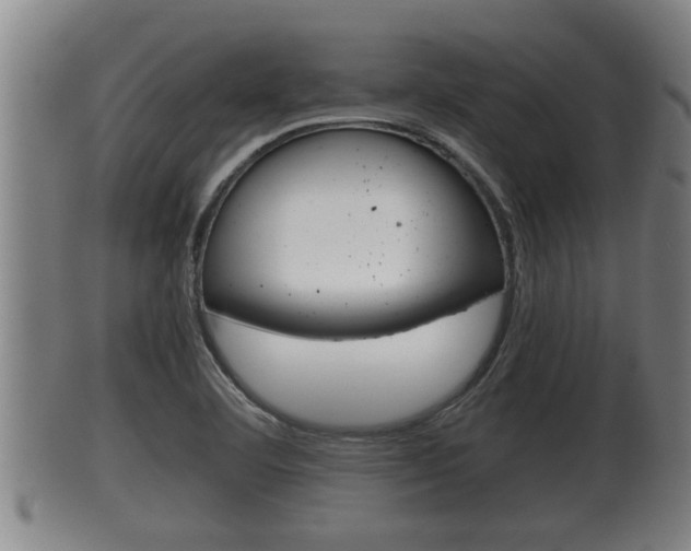 X0000100371460200806060750