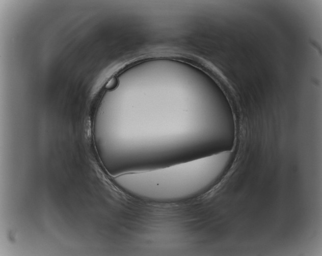 X0000100371461200806060750