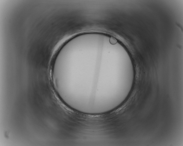 X0000100371462200806060750