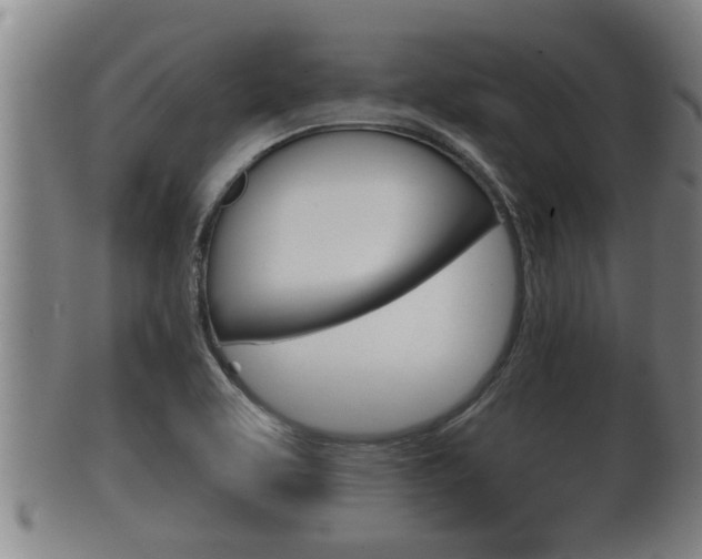 X0000100371463200806060750